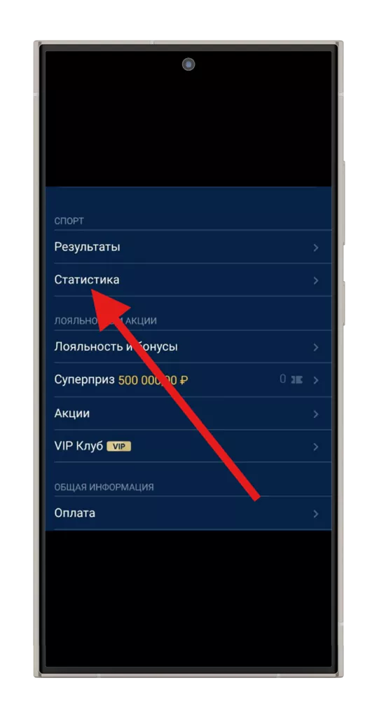 Выбор опции «Статистика»