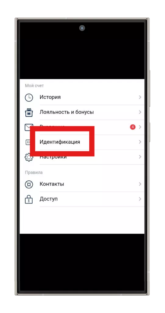 Меню «Идентификация»